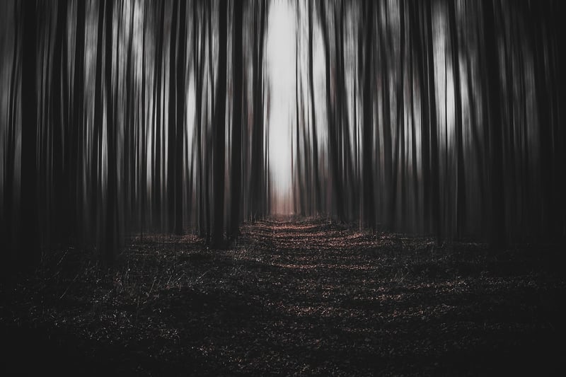 Alternate Reality